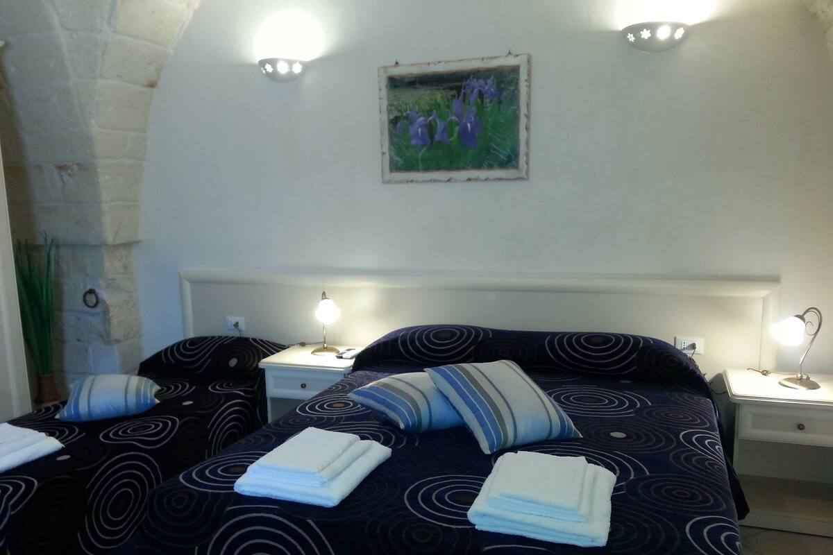 Chambre Triple Familiale, vue ville (Iris)