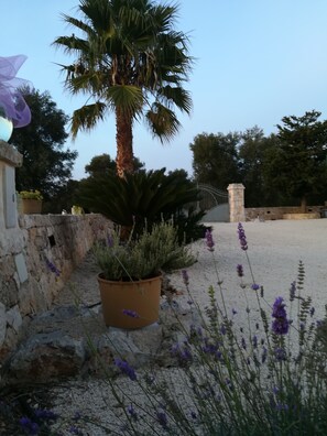 Exterior - B&B Demetra (Carovigno)