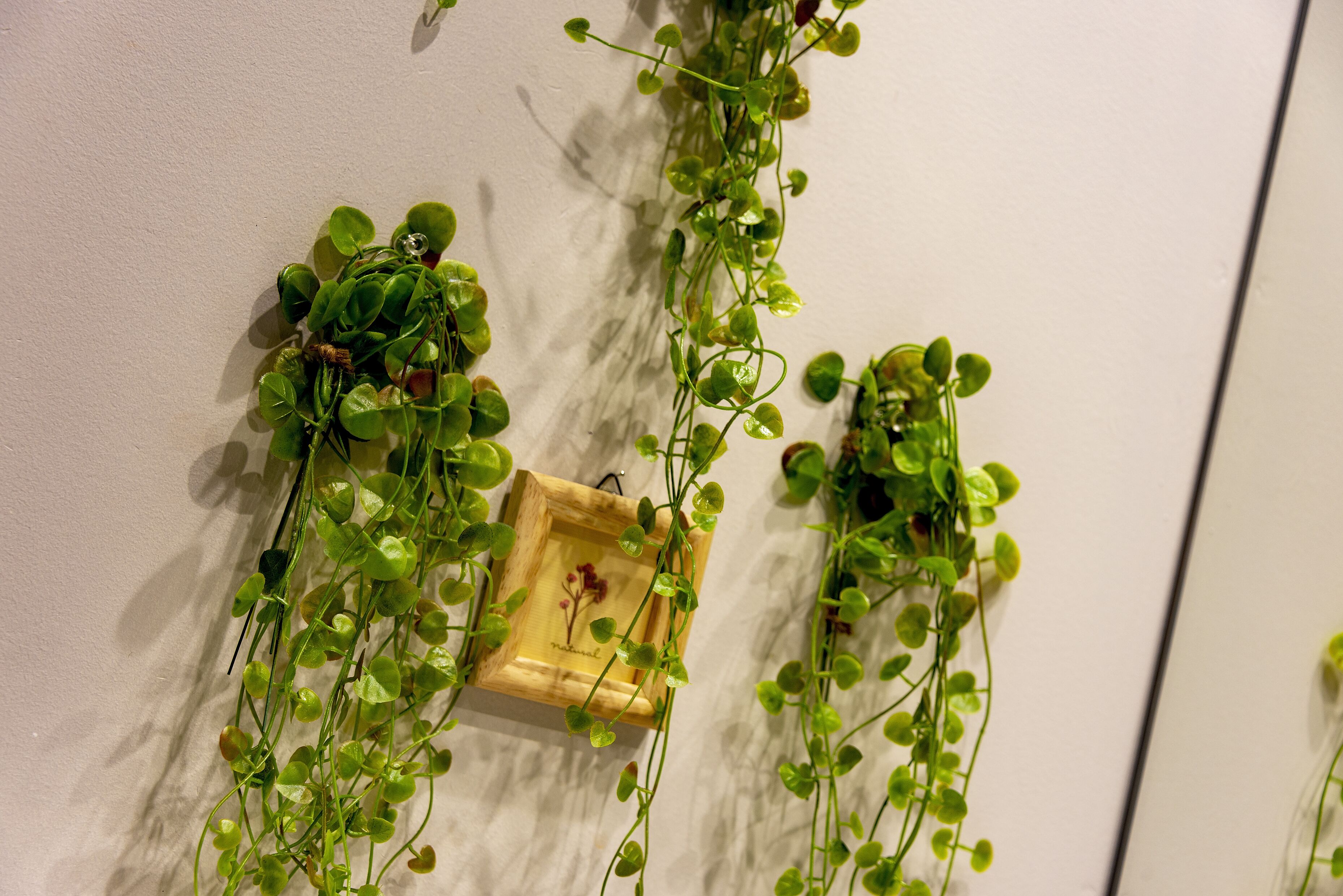 Foto - plat hostel keikyu minowa forest