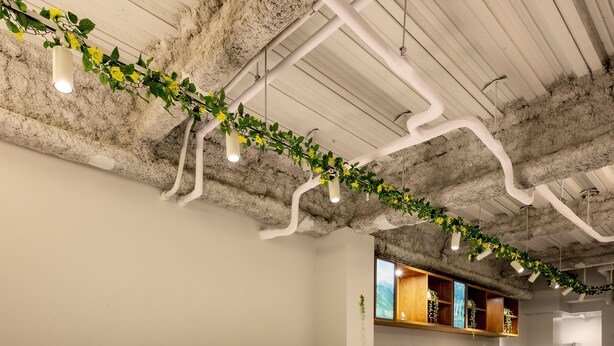 Eine moderne Bar mit einer langen Theke, Holzstühlen und einer Decke mit freiliegenden Rohren und Pflanzen.