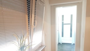 A hallway with a potted plant, a radiator, and a door leading to an outdoor area.