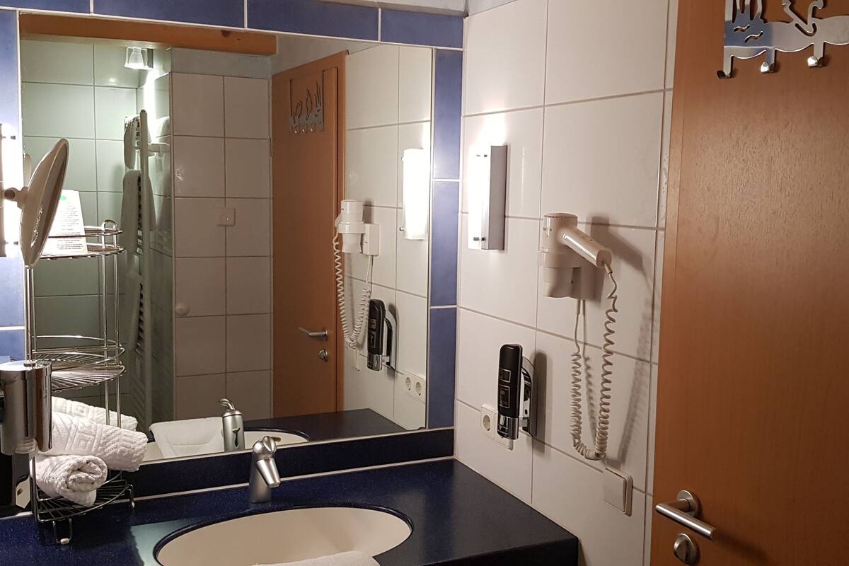 shower, free toiletries, hair dryer, towels