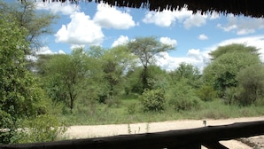 A natural landscape with trees and a dirt path. - Roika Tarangire Tented Lodge (Tarangire National Park)