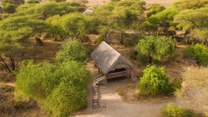 Une construction à toit de chaume, accessible par un sentier de terre, et entourée d’une végétation luxuriante.