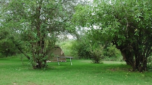 A tent in a wooded area with a table in front. - Roika Tarangire Tented Lodge (Tarangire National Park)