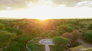 A circular pool with lounge chairs, surrounded by trees and a clear sky. - Roika Tarangire Tented Lodge (Tarangire National Park)