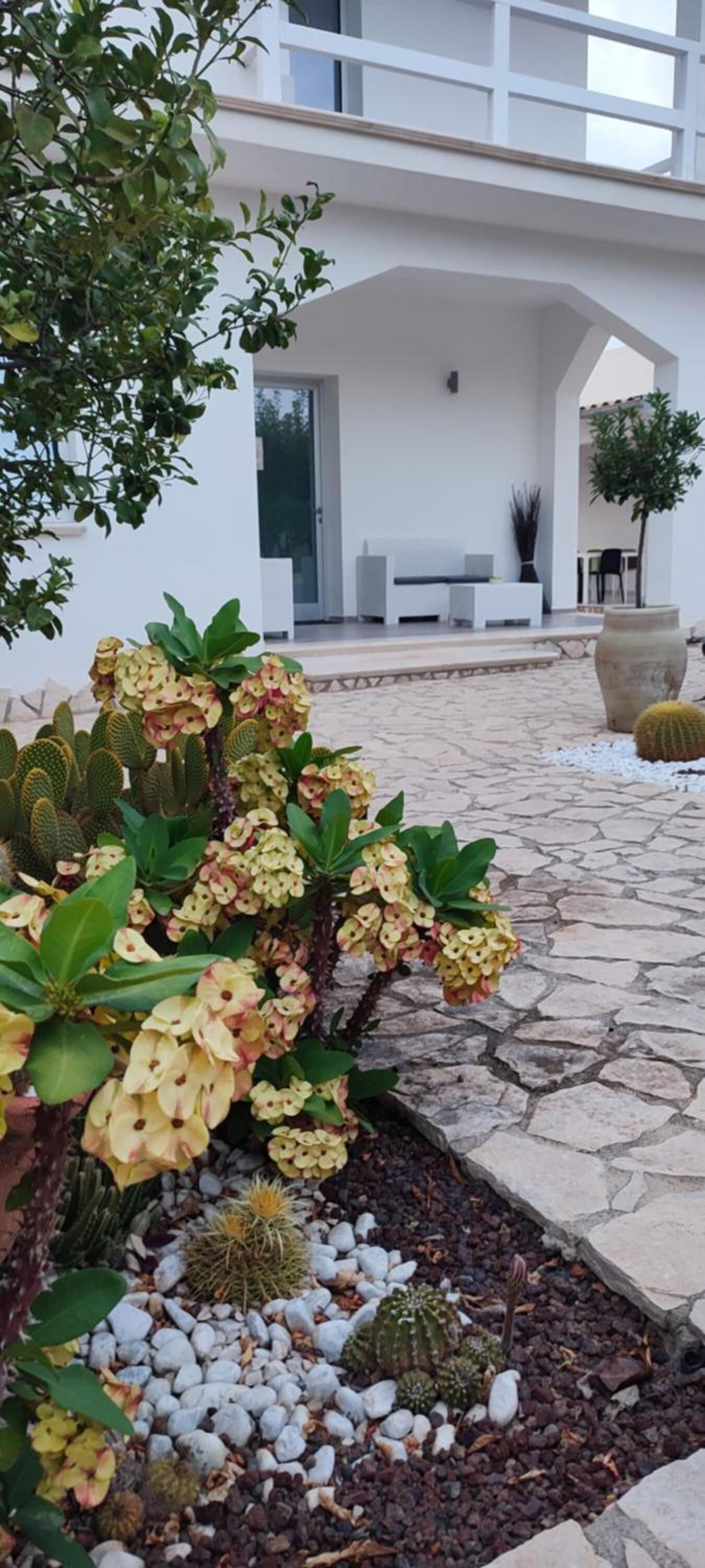 Parco della struttura