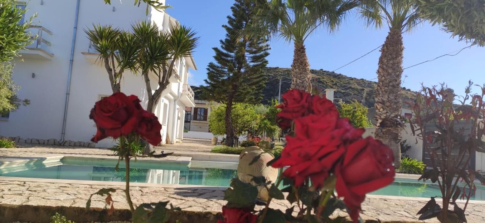 Un espace piscine offrant une vue dégagée sur un bâtiment, des palmiers et des fleurs rouges.