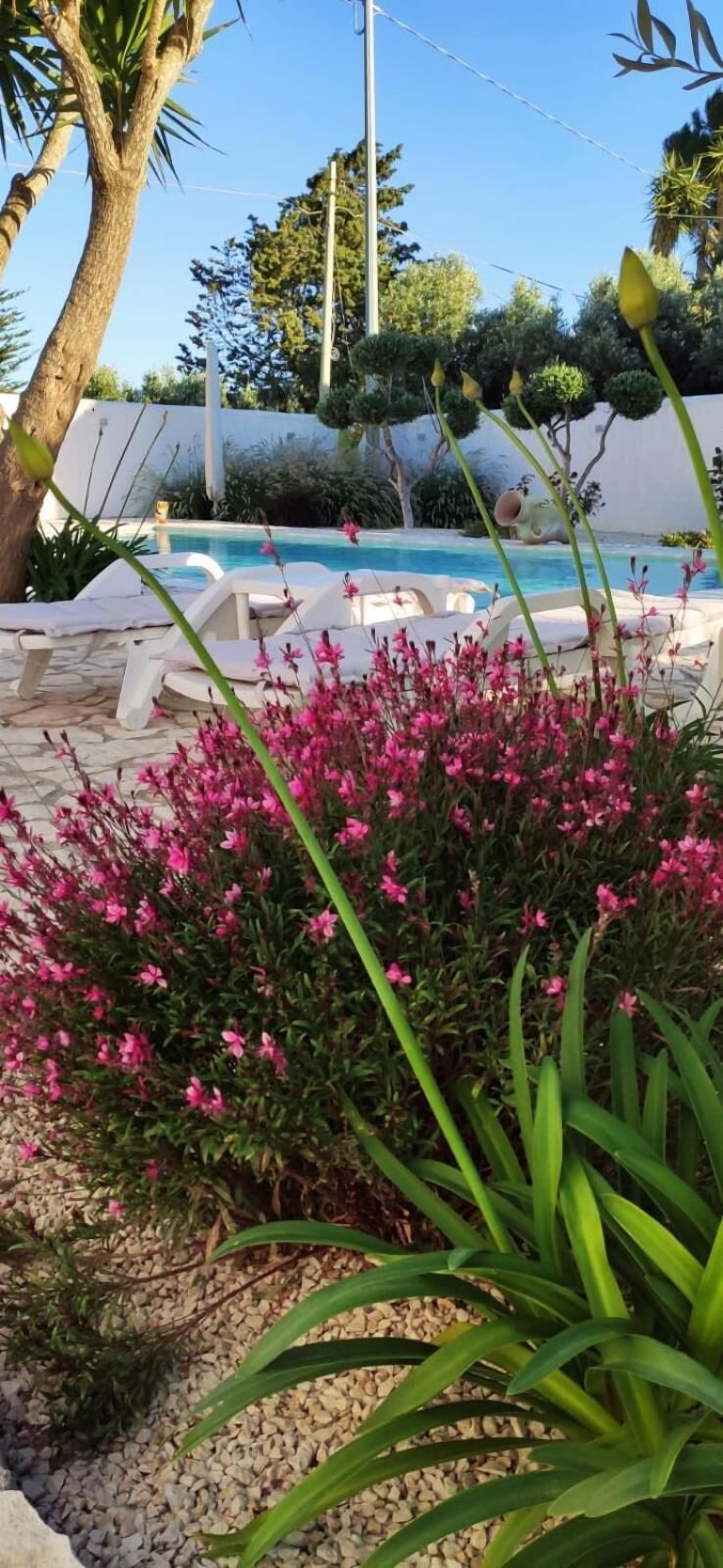 A pool area with lounge chairs and a garden with pink flowers.