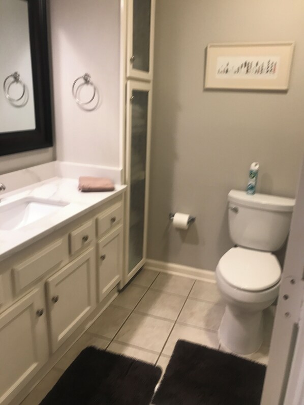 A bathroom with a white sink, a toilet, and a glass shower enclosure. - Beautiful, Easy Ocean Access (Hilton Head)