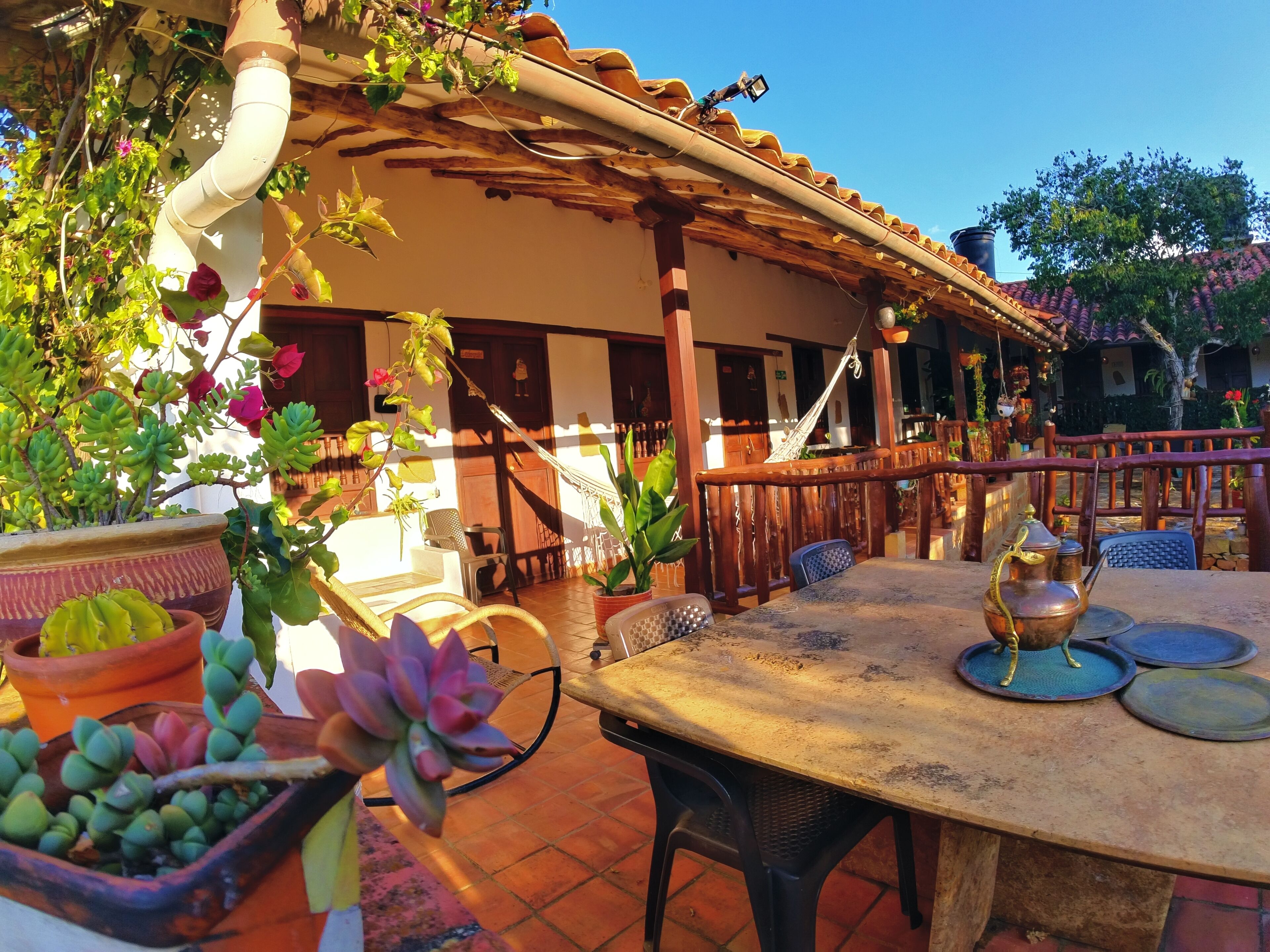 An outdoor patio with a table set for dining, surrounded by potted plants and a hammock.