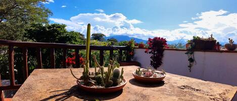 A terrace with potted cacti and flowering plants, a wooden railing, and a clear view of the sky and distant mountains.