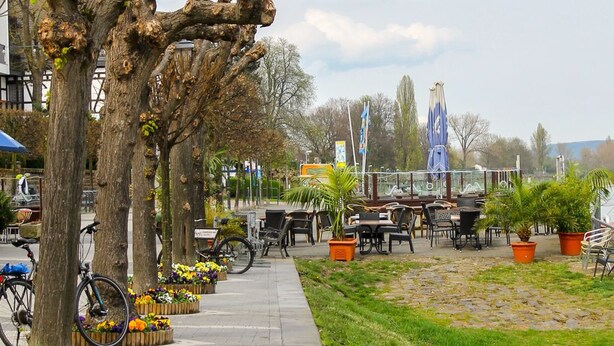 A paved walkway lined with trees and flower planters, leading to an outdoor seating area with tables and chairs. - Hotel Niederée (Bad Breisig)