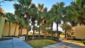 A paved pathway lined with palm trees and a grassy area, leading to a building with a yellow facade. - Cozy One Bedroom Lakefront Villa Close to the Attractions (Orlando)