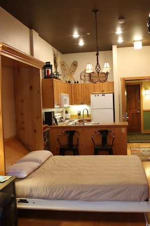 1 bedroom, iron/ironing board, free WiFi, bed sheets - 1 Bedroom Gem! Many upgrades-Top Floor with vaulted ceilings. Extra Murphy Bed (Keystone)