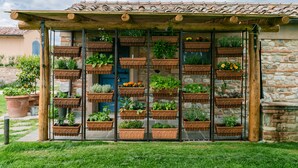 Un jardin où une variété de plantes en pot sont disposées sur une étagère en métal.