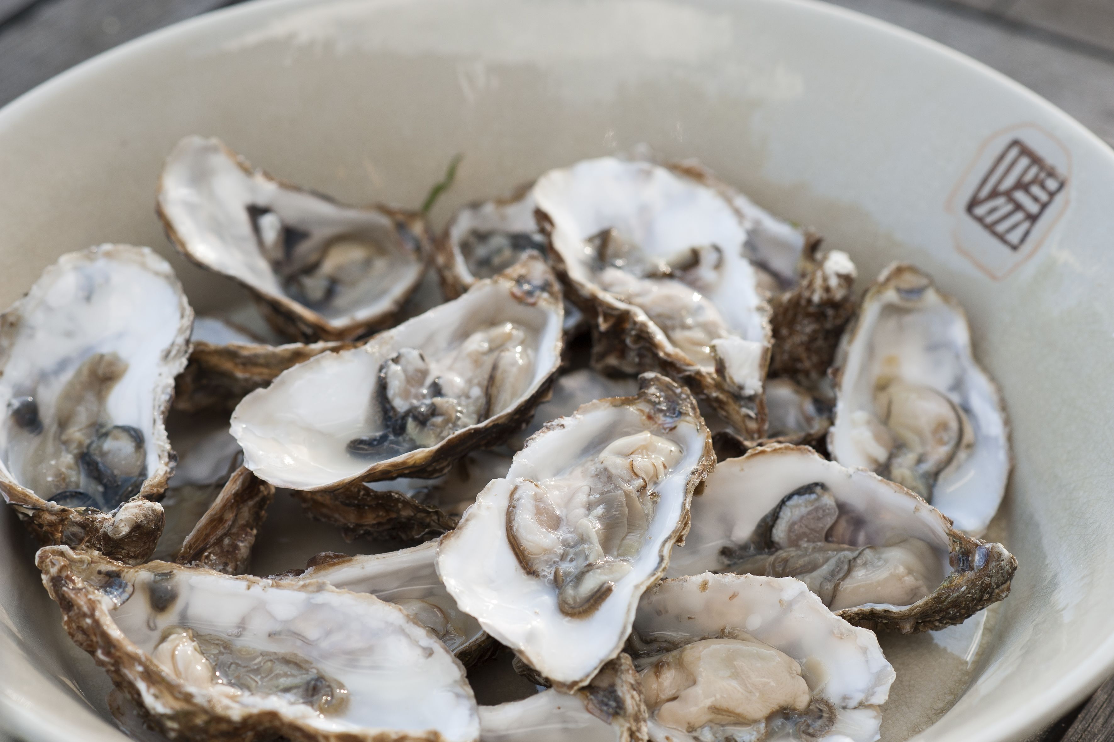 A bowl of raw oysters.