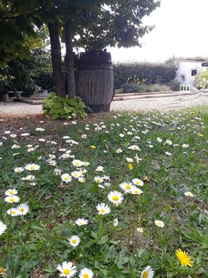 Exterior - La Colombe (Tourrettes)