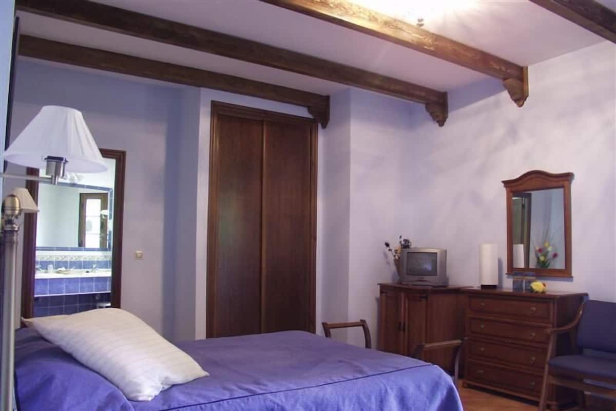 A bedroom with a bed, a dresser, a television, and a mirror.