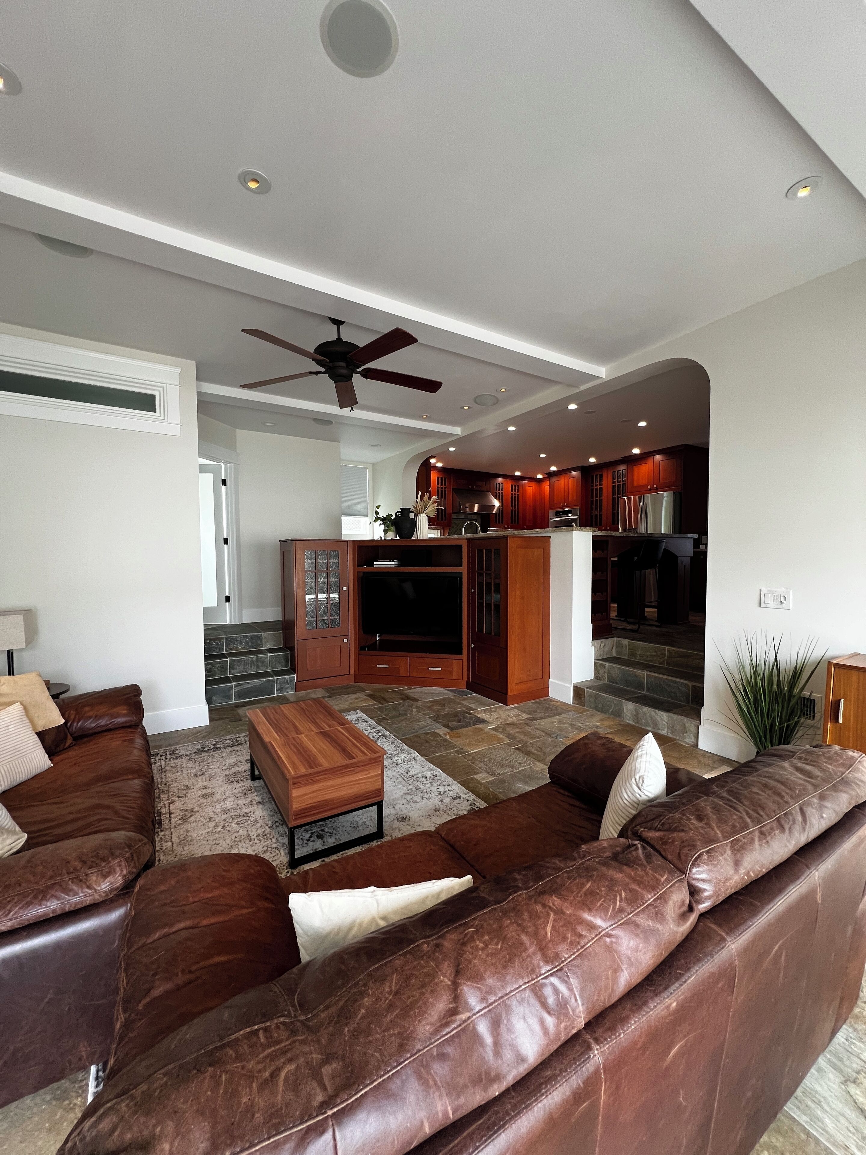 Smart TV, fireplace, computer monitors