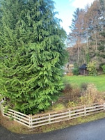 Vista desde la habitación