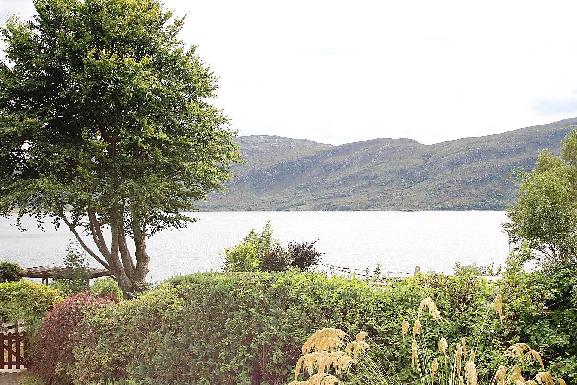 A lake with mountains in the background, surrounded by lush greenery and a wooden fence.