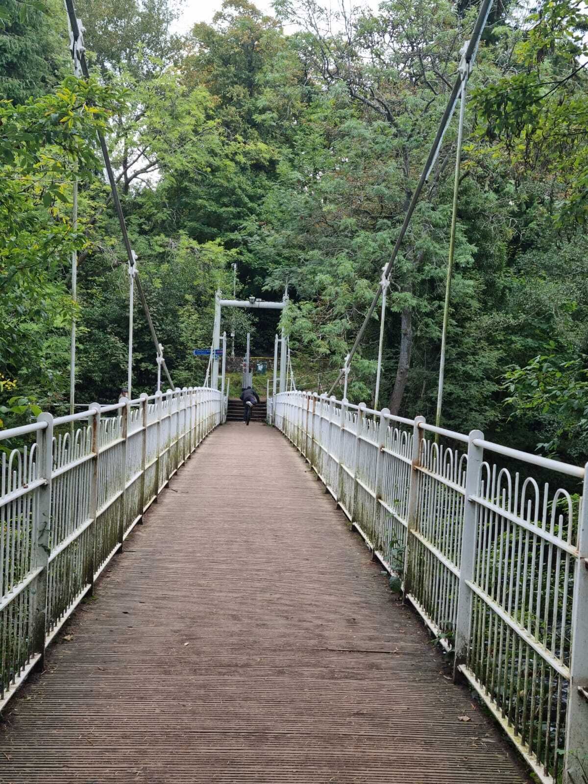 A pedestrian suspension bridge with metal railings and a wooden walkway, surrounded by dense green foliage.