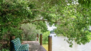 A wooden dock with a bench, surrounded by lush greenery and a calm body of water. - Location! Location! Location!  Sarasota!!! (Sarasota)