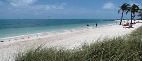 Chaises longues, serviettes de plage