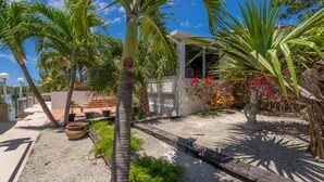 Un jardin tropical avec des palmiers, un sentier et un bâtiment à la façade blanche.