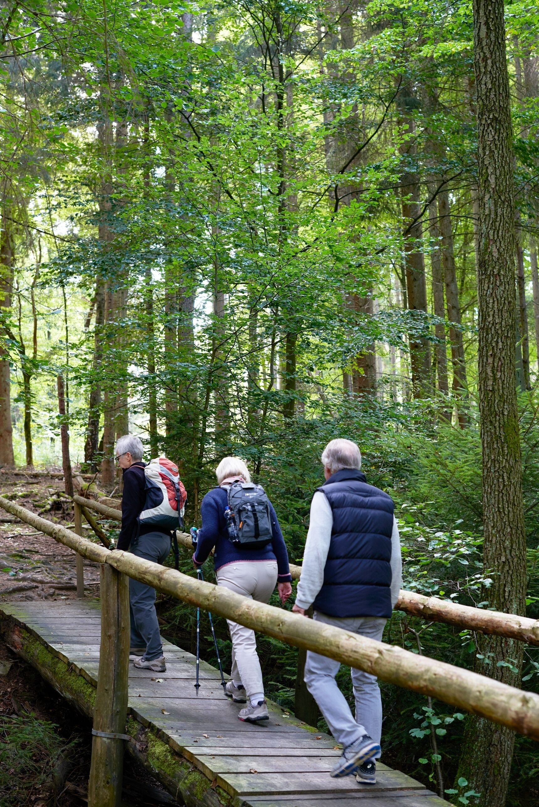 Eine Holzbrücke in einem Wald, Menschen gehen darauf.