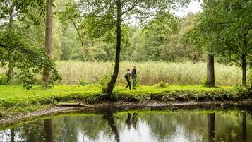 Eine friedliche Außenansicht mit einem Teich, üppigem Grün und zwei Personen, die einen Weg entlanggehen.