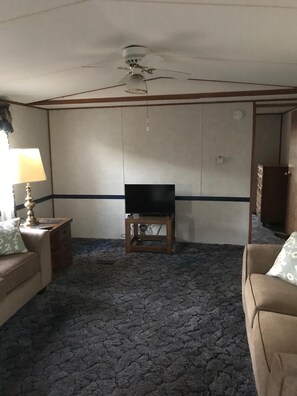 Smart TV - In-town home, walk to restaurants; property borders scenic hiking trail. (Hayesville)