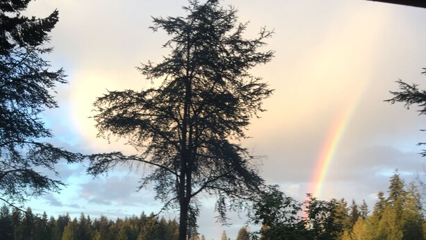 A patio with stone flooring and metal chairs, overlooking a lake with a rainbow and dense forest in the background. - Relaxing Lakefront Suite (Federal Way)
