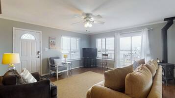 Télévision, cheminée, livres