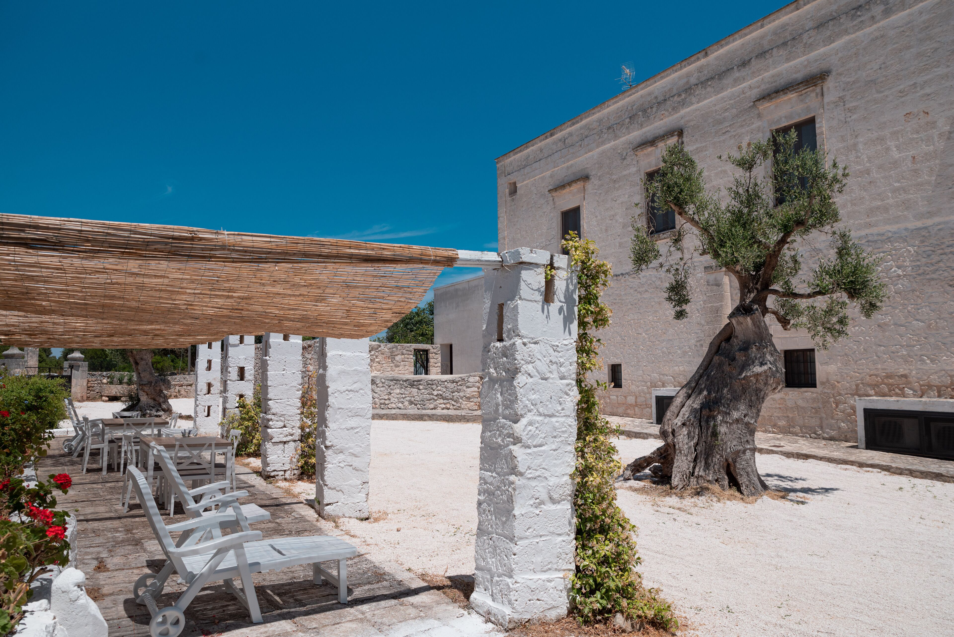 A courtyard with white stone walls, a large tree, and outdoor seating.