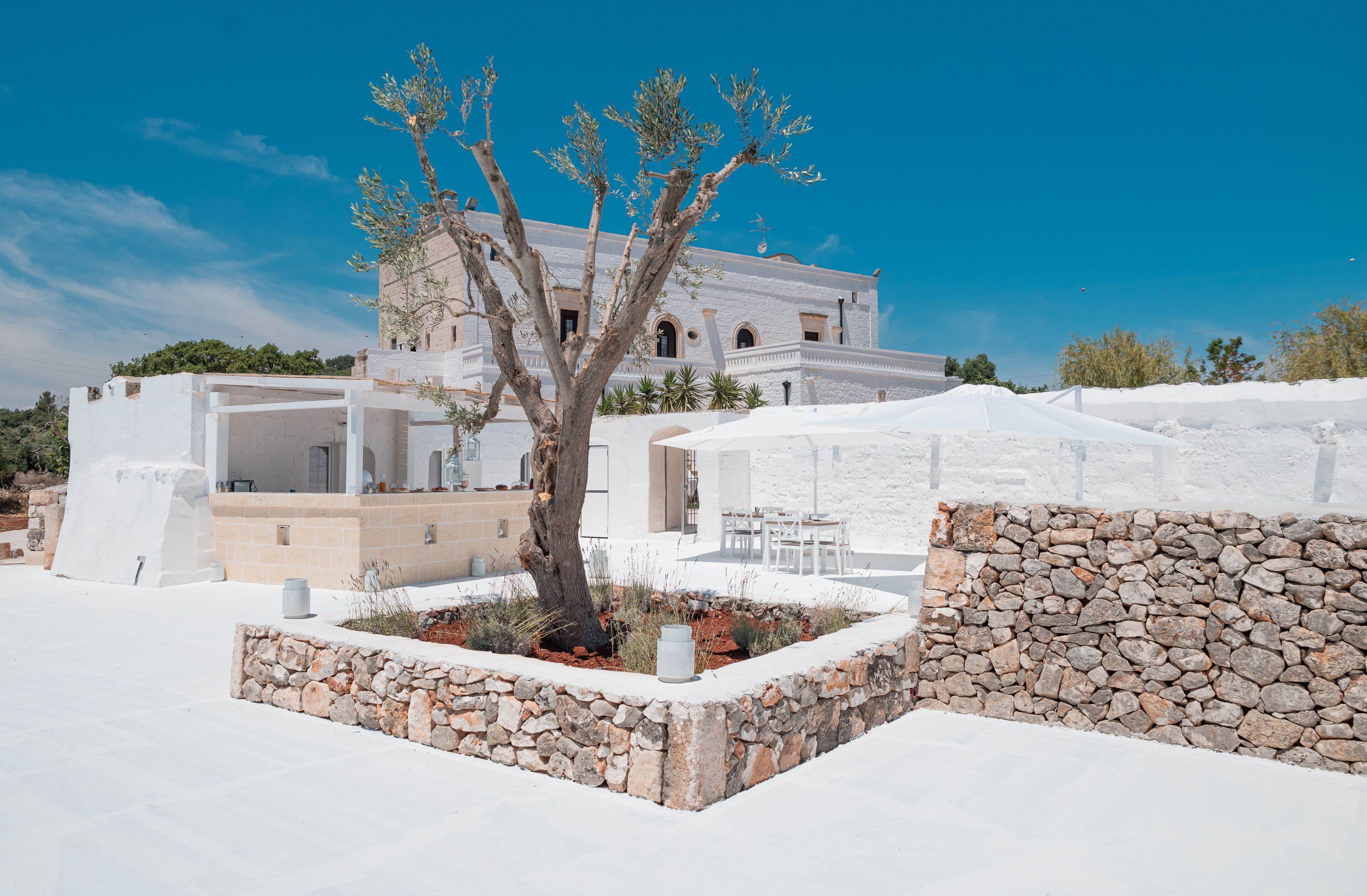 A white building with a stone wall and a tree in the foreground.