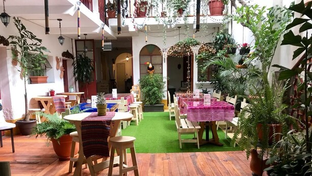 Un jardín interior acogedor con suelo de madera, mesas con manteles coloridos y diversas plantas en macetas.