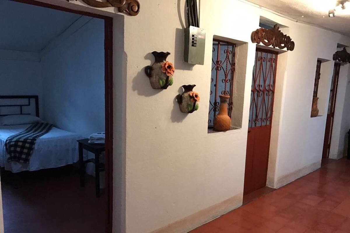 A hallway with a bed in the background, a door with a decorative metal gate, and wall-mounted flower pots.