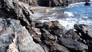 A rocky coastline with a beach and a dog near the water. - Miramar Habitaciones (Aguilas)