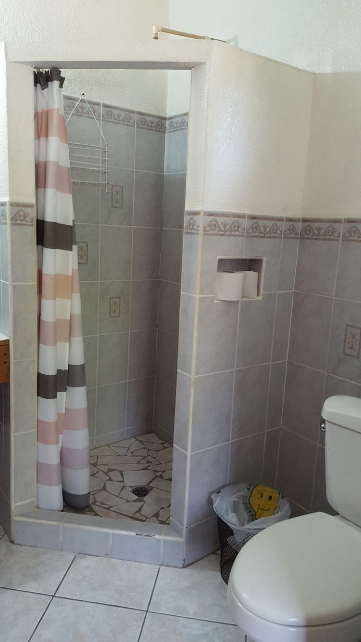 Casa de banho com chuveiro, sanita e um caixote de lixo.