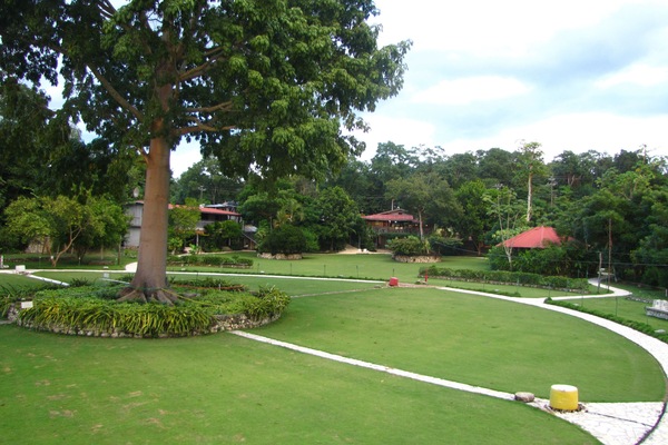 Jardín