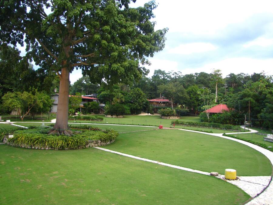 Garten