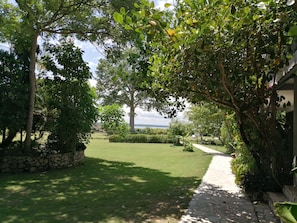 Exterior - La Casa de Don David (Flores)