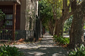 A tree-lined pathway with a building on one side. - Hostel Casa Borges (Adrogué)