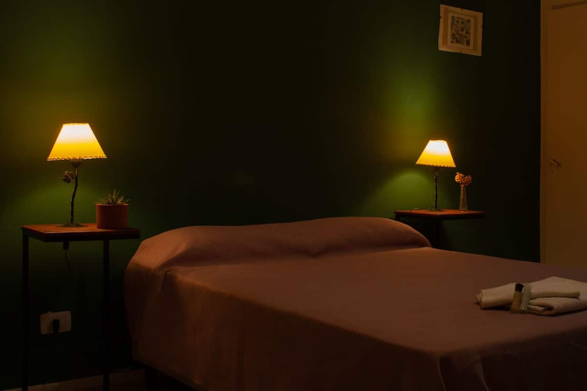 Una cama individual con una colcha marrón en una habitación poco iluminada con paredes verdes. Hay dos mesitas de noche, cada una con una lámpara y una pequeña planta en maceta.