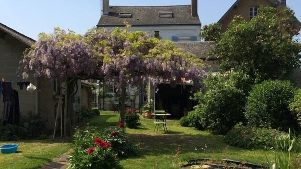 Un jardí amb diverses plantes i una pèrgola amb flors morades.