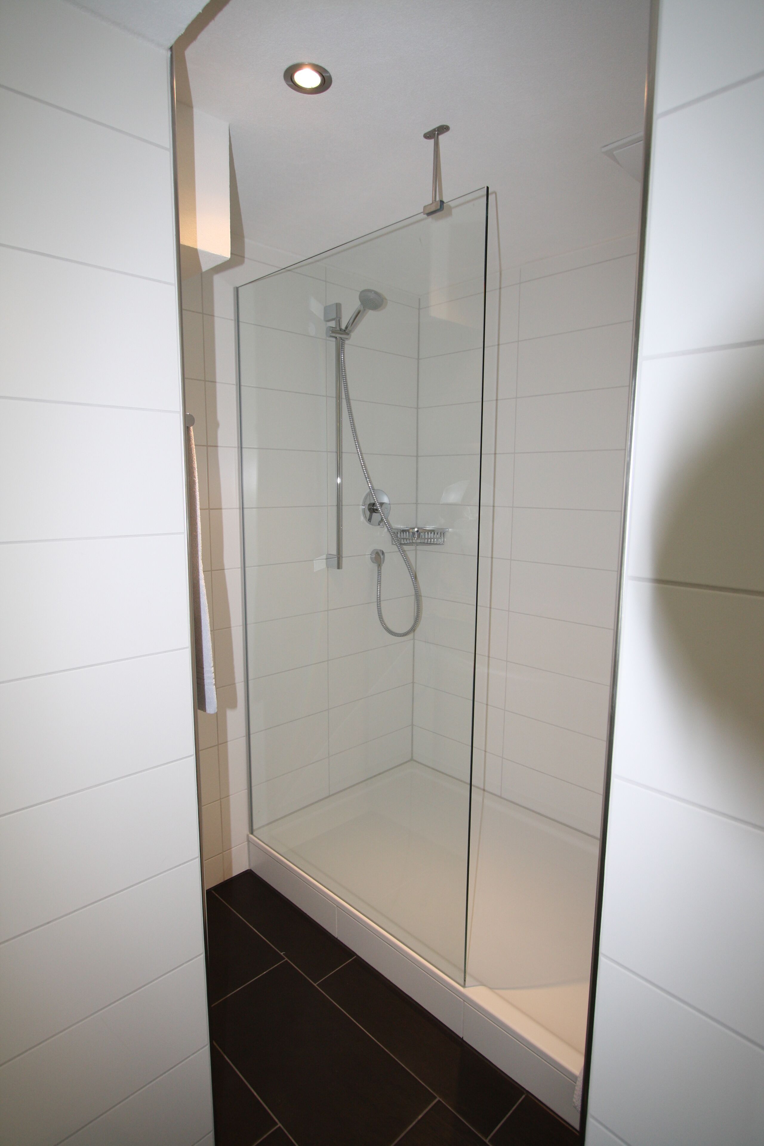 A glass-enclosed shower with a handheld showerhead and a wall-mounted faucet.