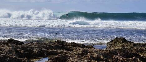 Plage à proximité, chaises longues, serviettes de plage