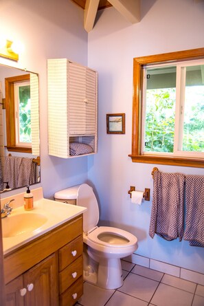 Combined shower/bathtub, hair dryer, towels, toilet paper